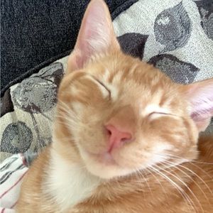 Meet your Posher, Jack